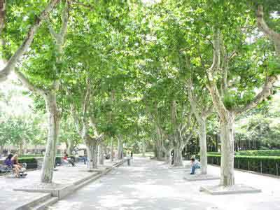 tժāM(jn)Ȱl(f)ӷ֦ٳ